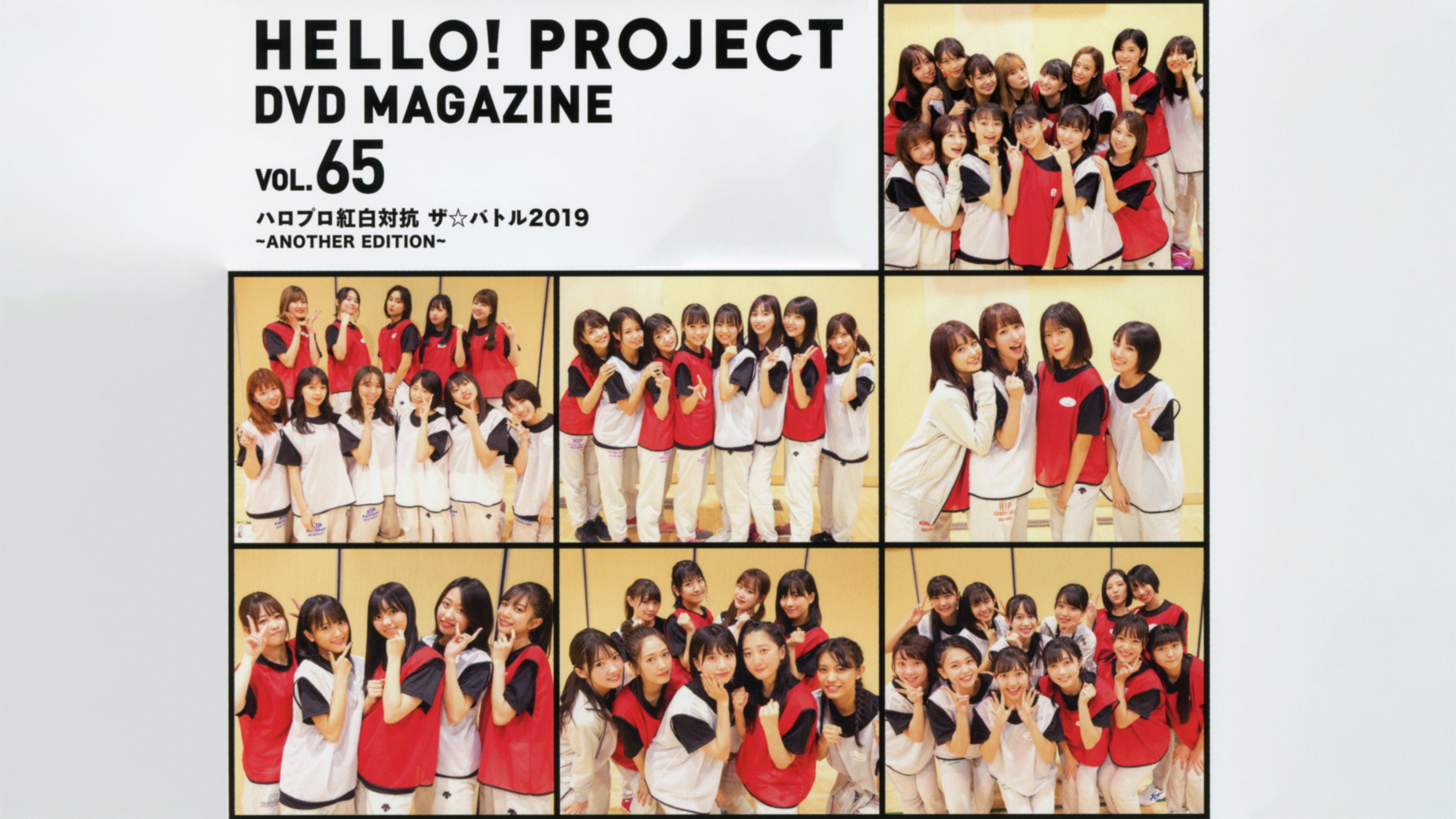 Backdrop for Hello! Project DVD Magazine Vol.65