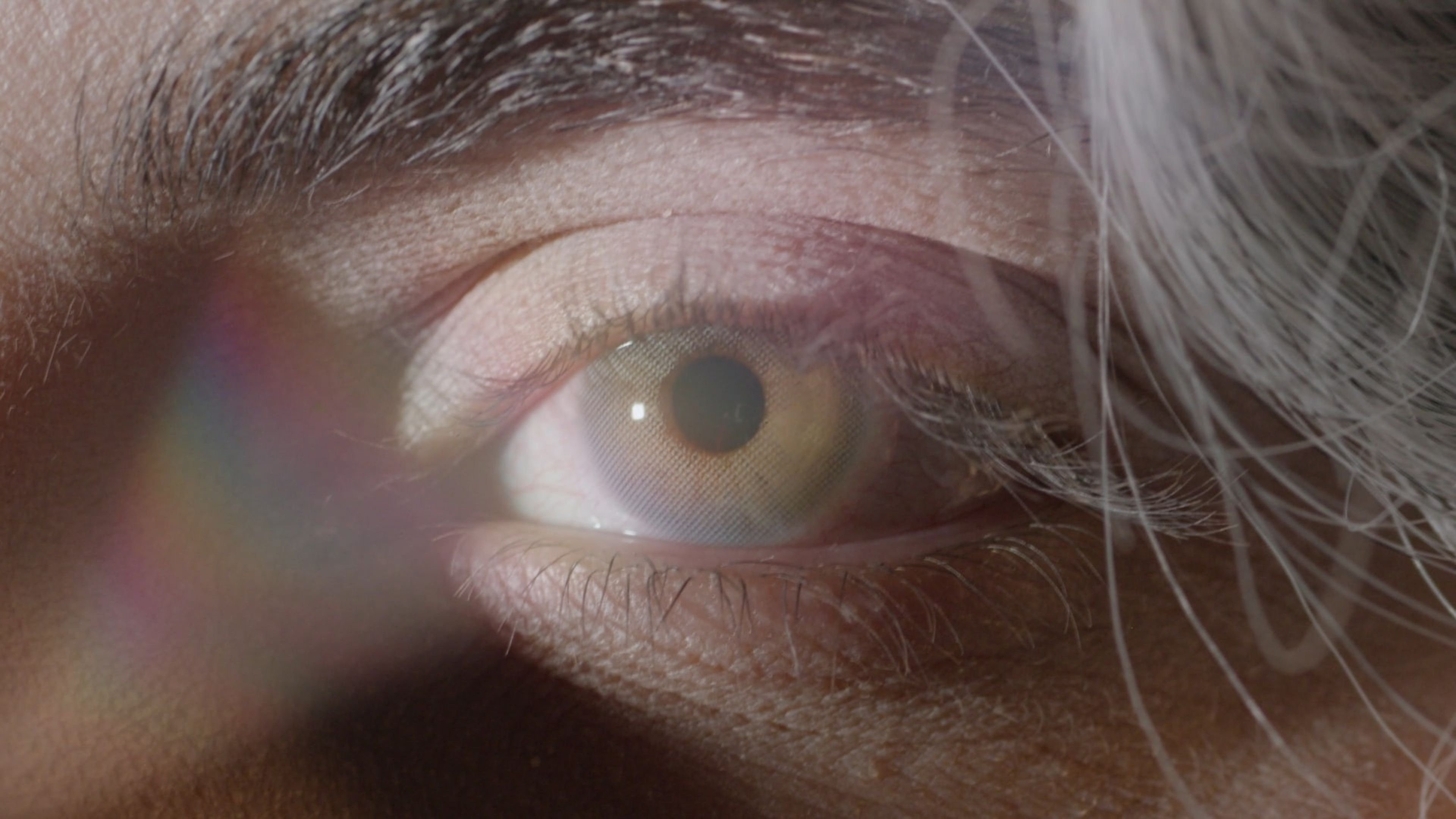 Backdrop for DIES MIRABILIS