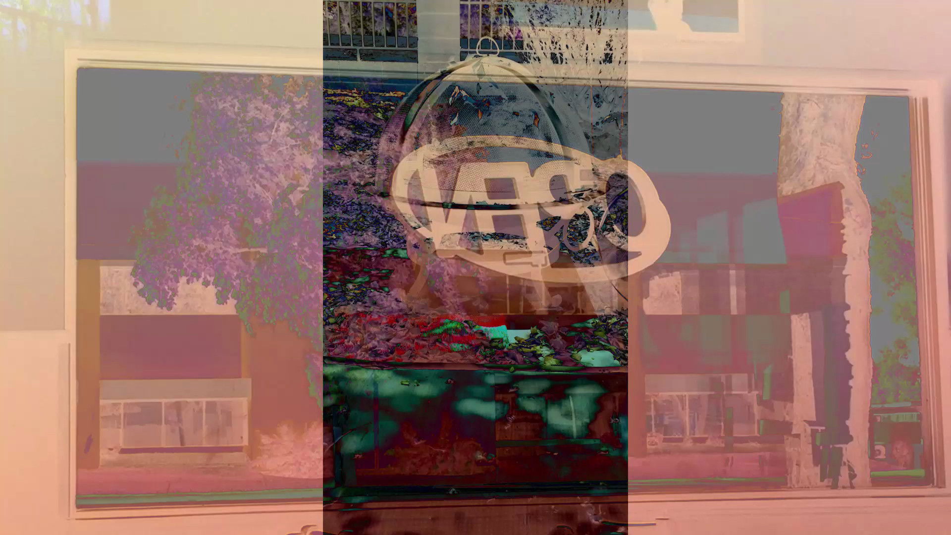 Backdrop for Questioning, Requesting