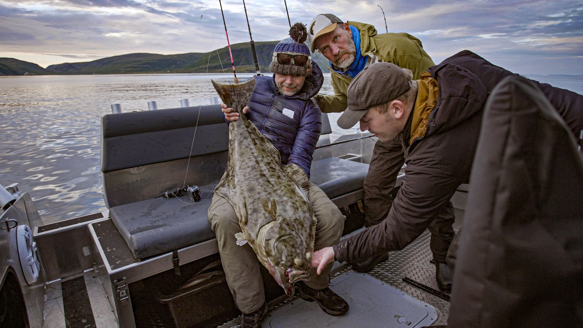 Backdrop for Jakten på monsterkveita
