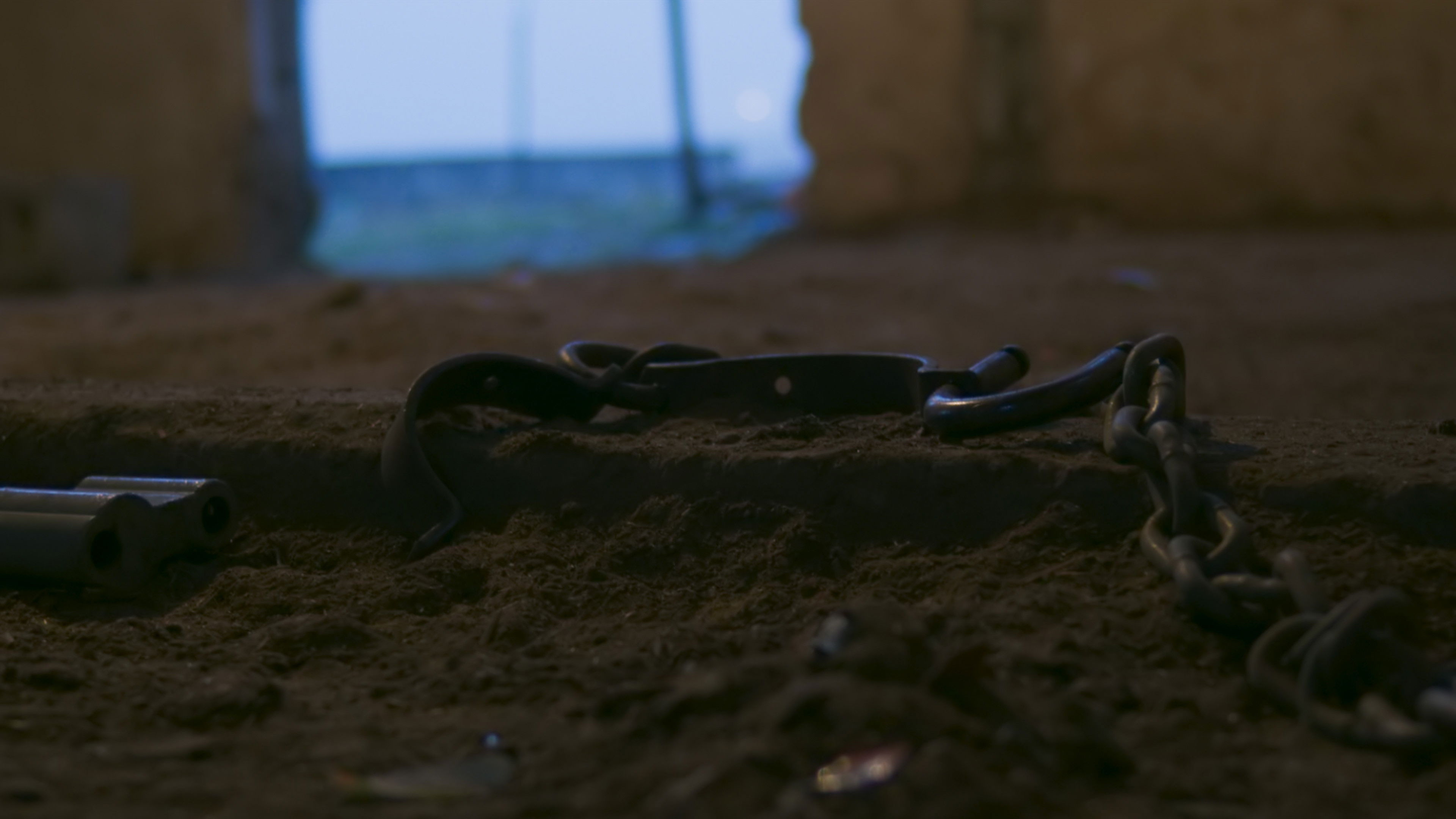 Backdrop for Inner Odyssey