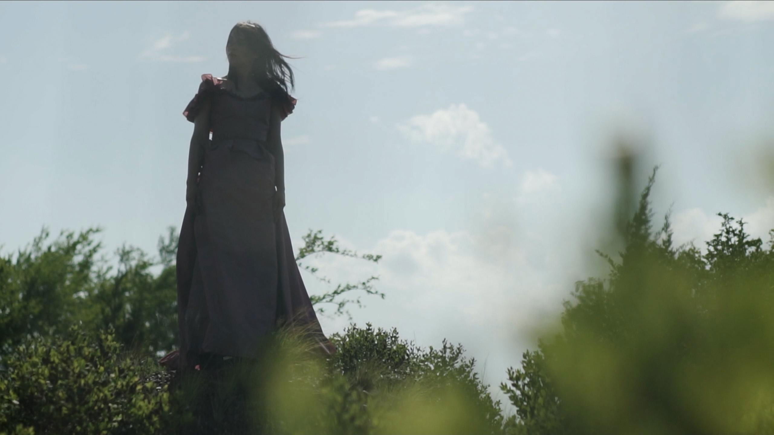 Backdrop for A Ship of Human Skin