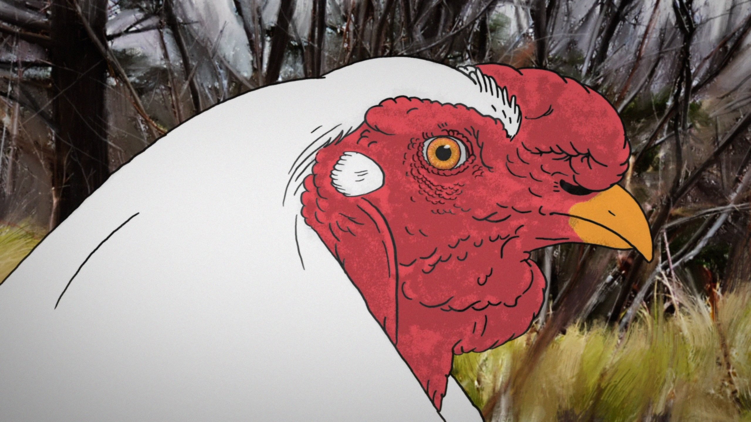 Backdrop for Dust Bath