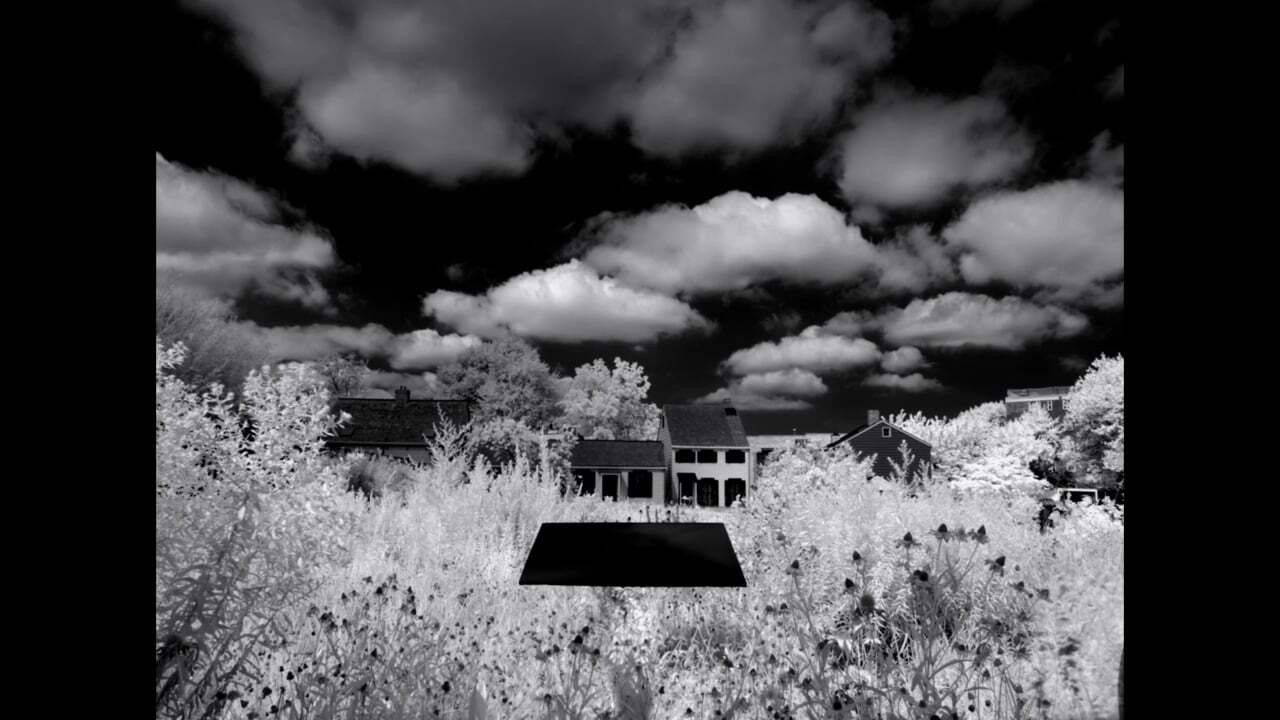 Backdrop for Letter to the Free