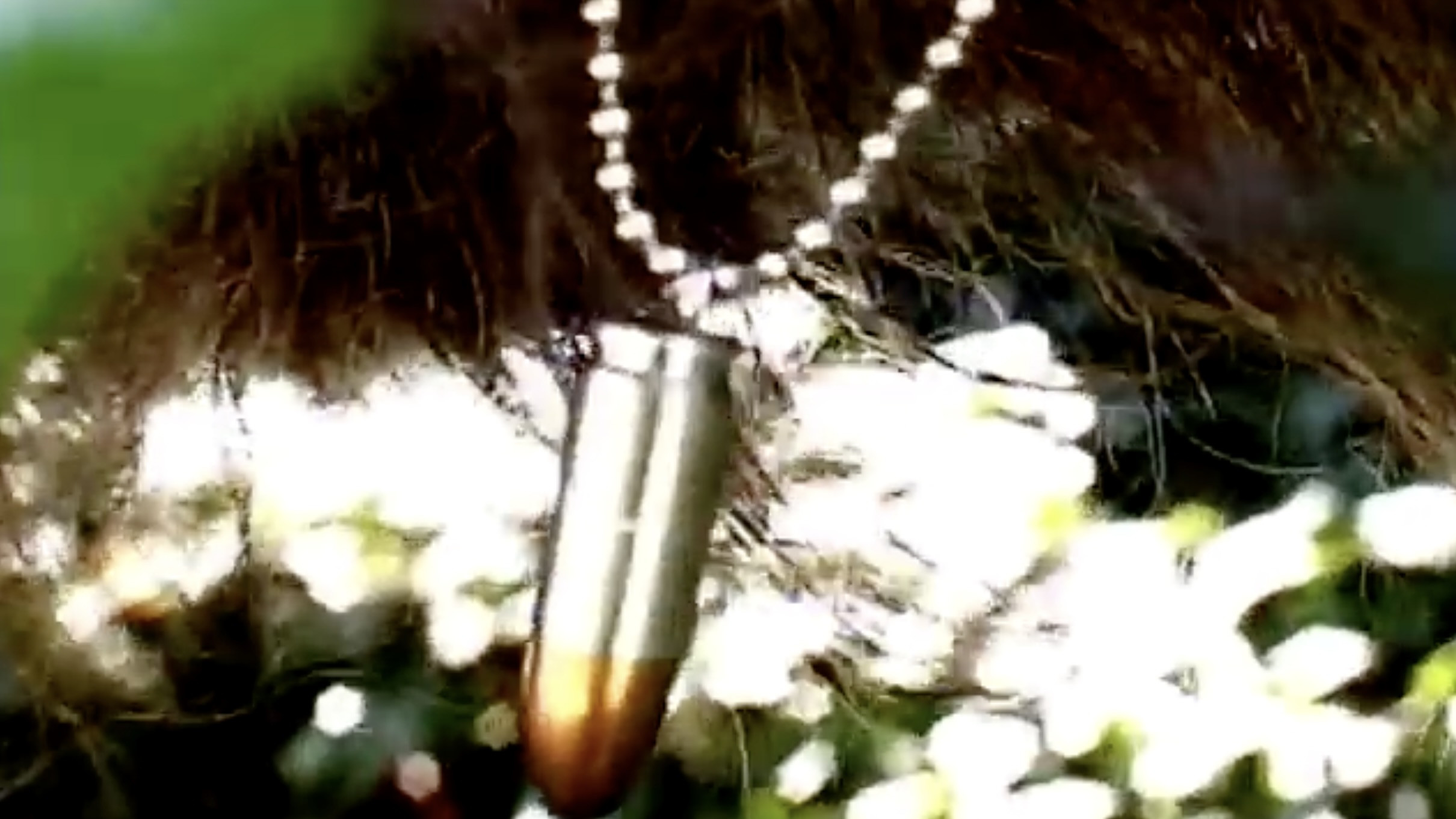 Backdrop for Becoming a Werewolf