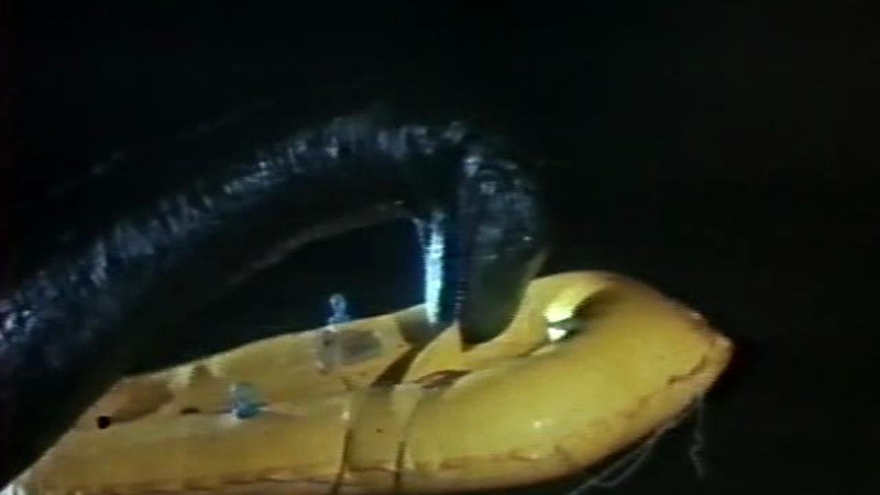 Backdrop for The Loch Ness Horror