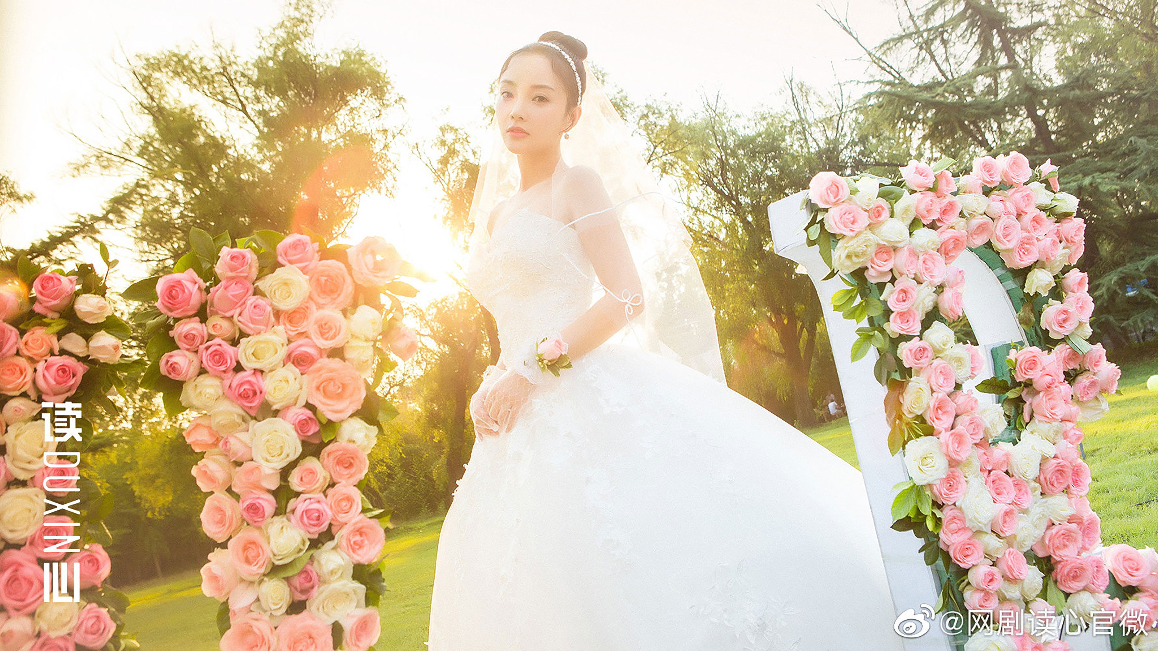 Backdrop for The Liar Hunter