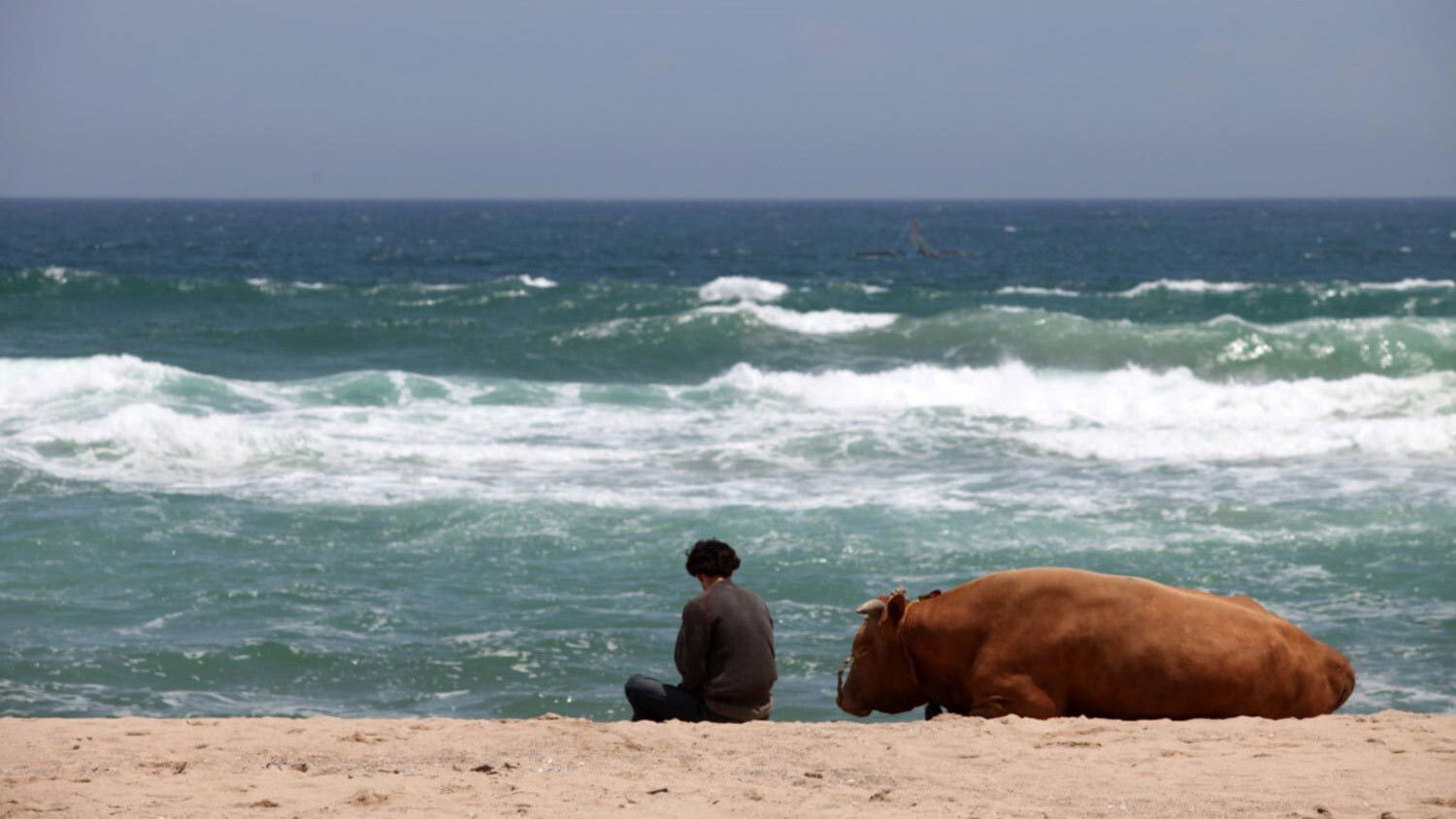 Backdrop for Rolling Home with a Bull