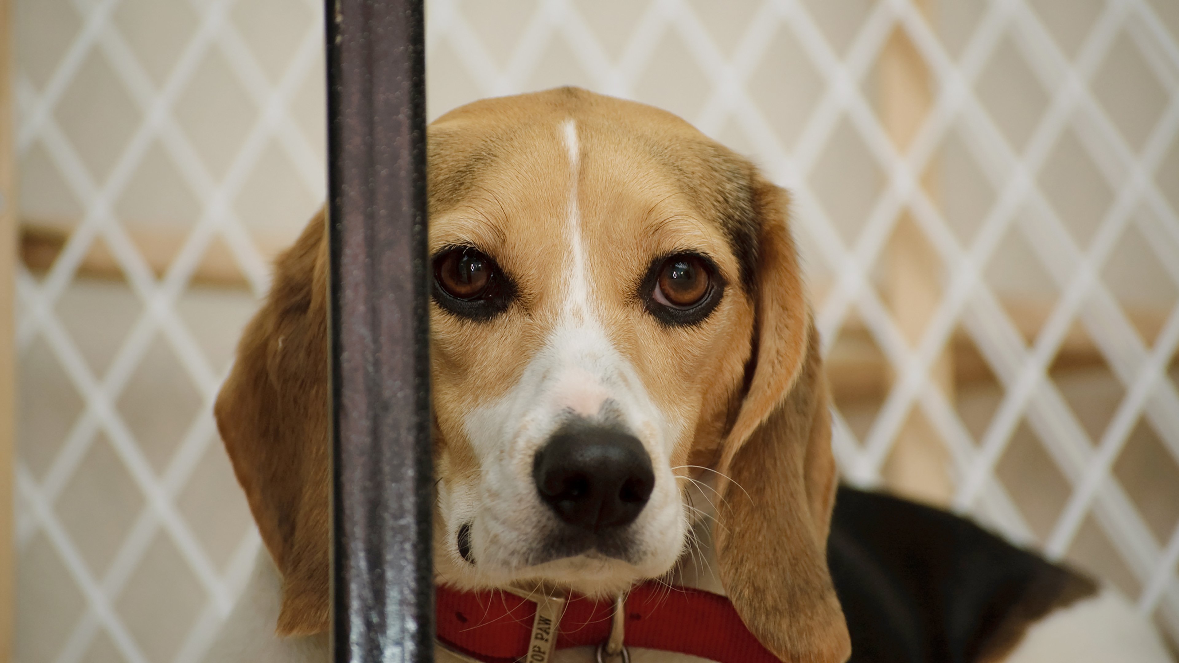 Backdrop for Undercover. Inside the Bunker