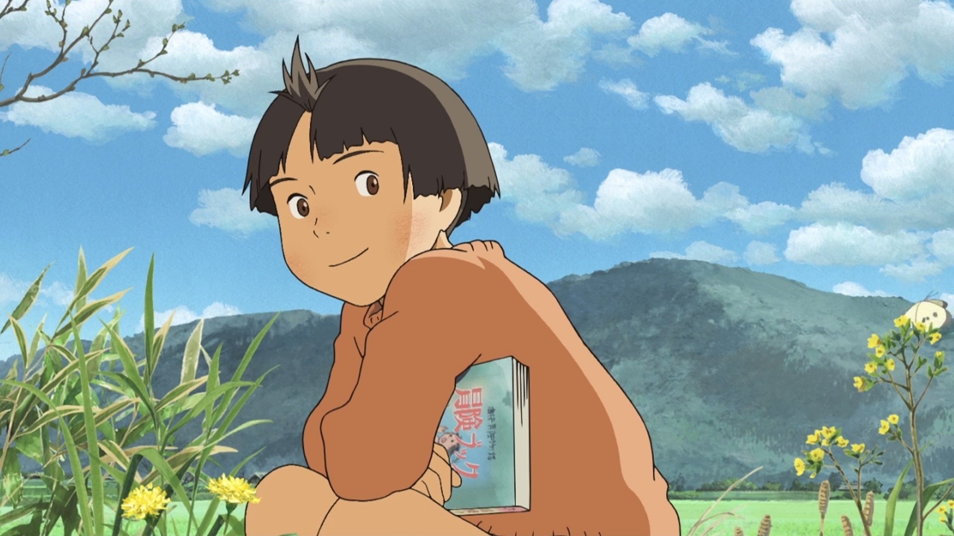 Backdrop for Mai Mai Miracle