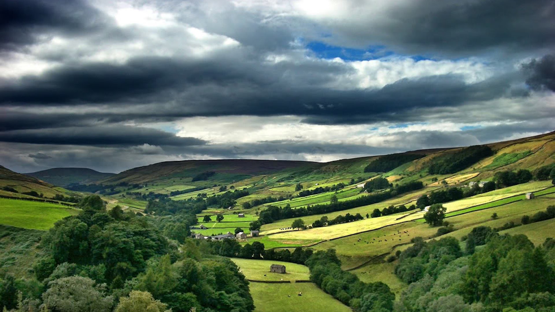 Backdrop for Grand Designs: House of the Year