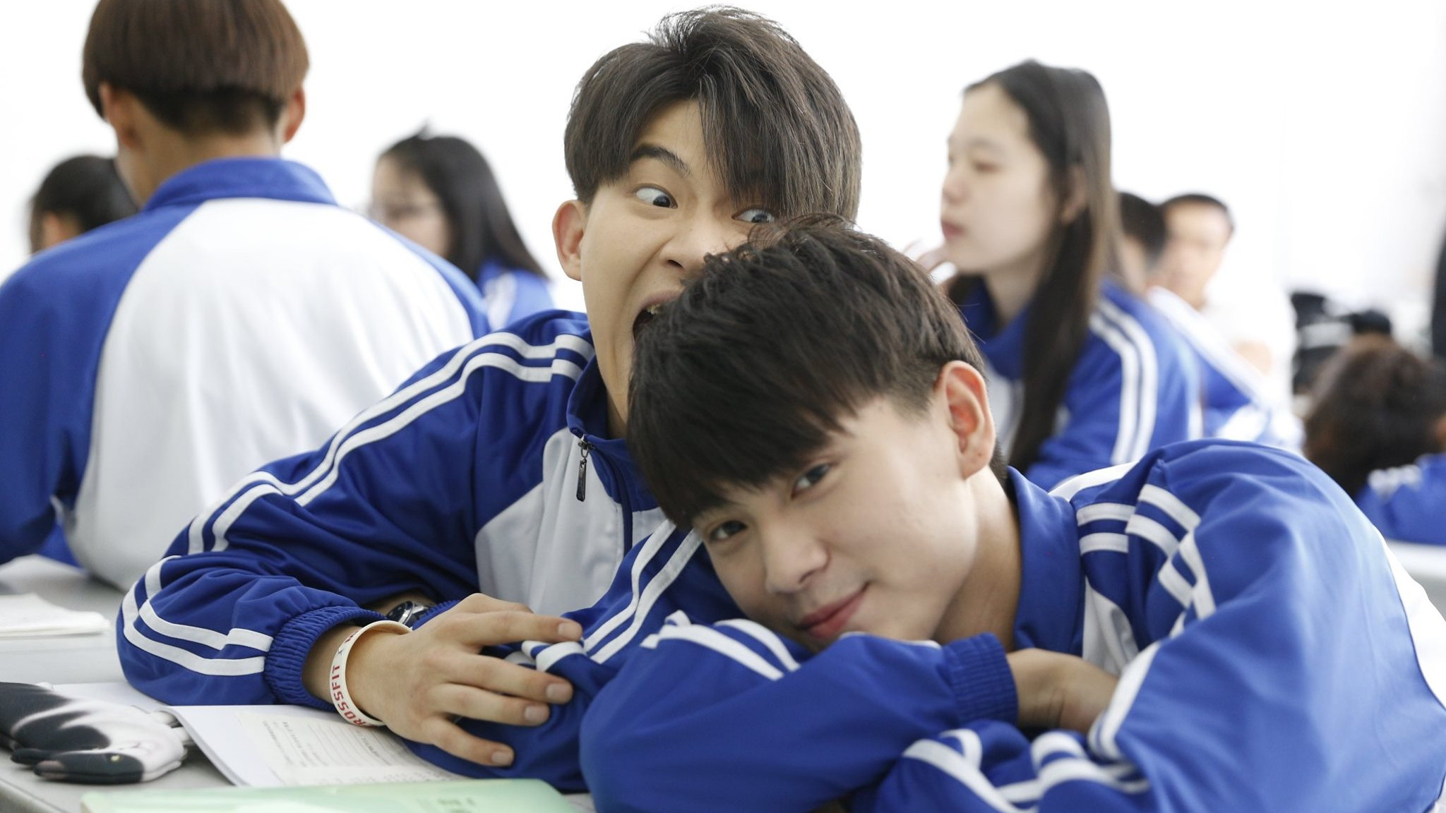 Backdrop for His Cat