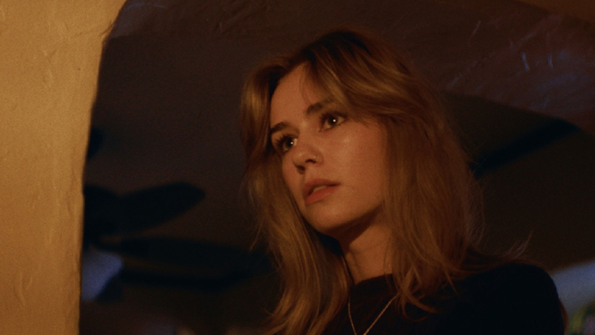 Backdrop for The Last Thanksgiving