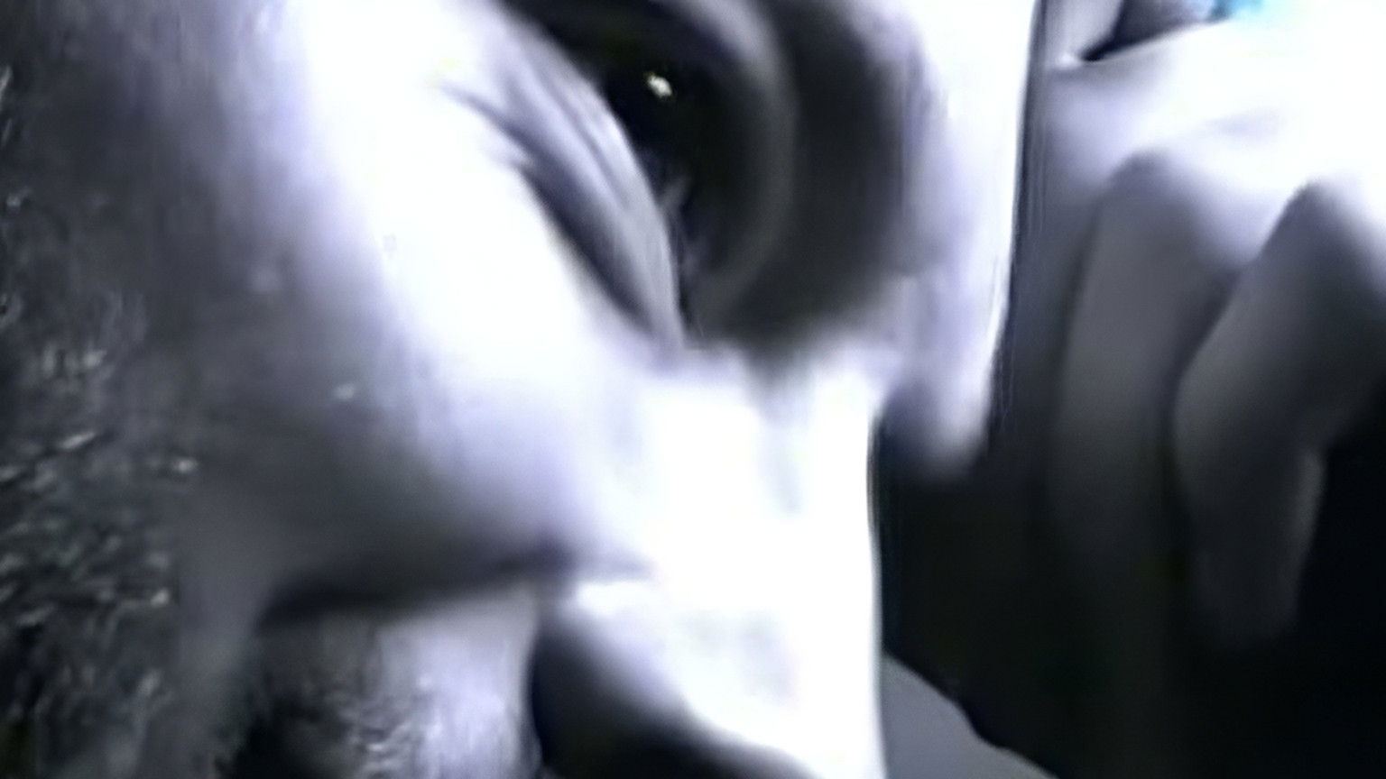 Backdrop for Reflections on Kid A