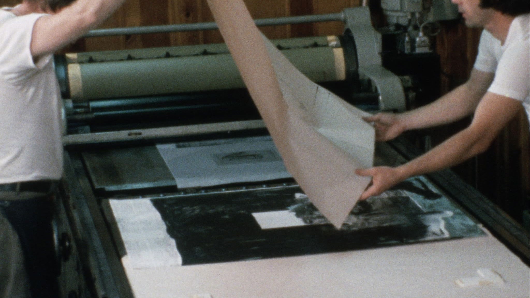 Backdrop for Jasper Johns: Decoy