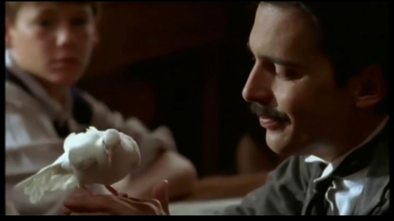 Backdrop for Le Maître qui laissait les enfants rêver