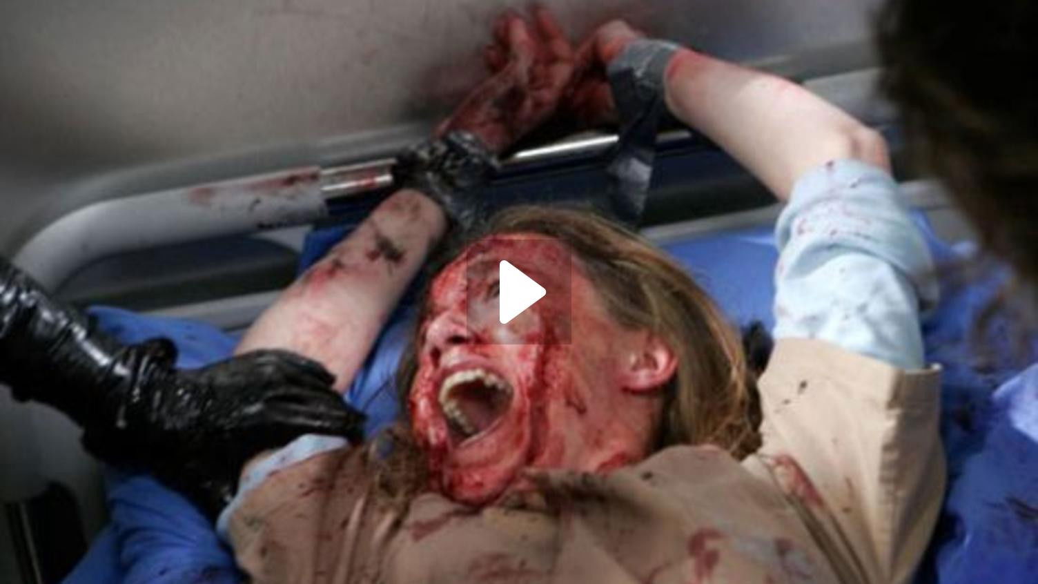 Backdrop for Visions