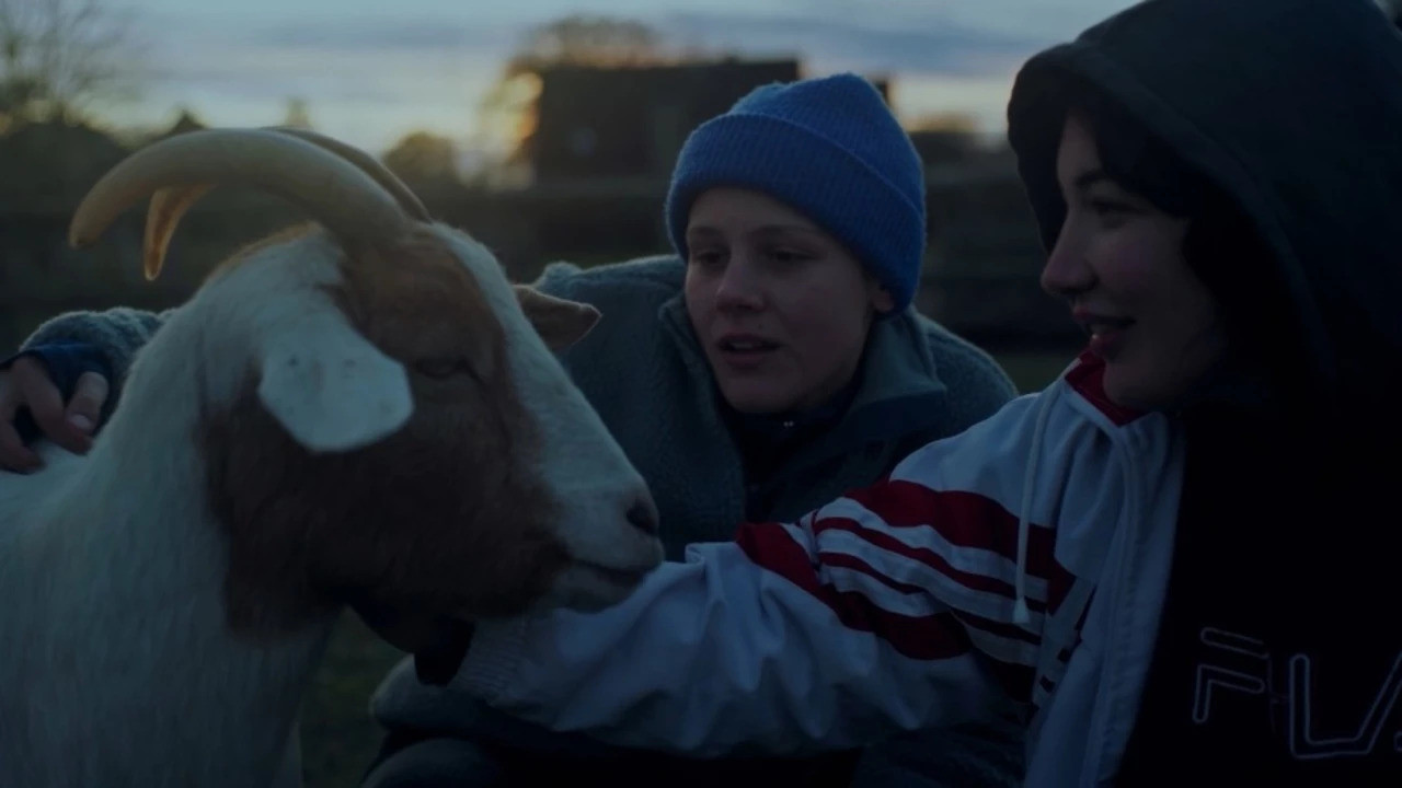 Backdrop for Ninja Motherf*cking Destruction