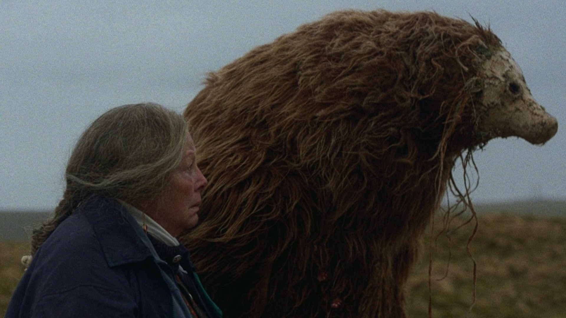 Backdrop for A Bear Remembers