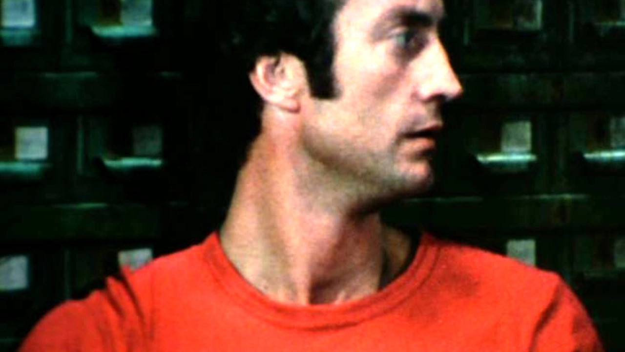 Backdrop for The Love Letters from Teralba Road