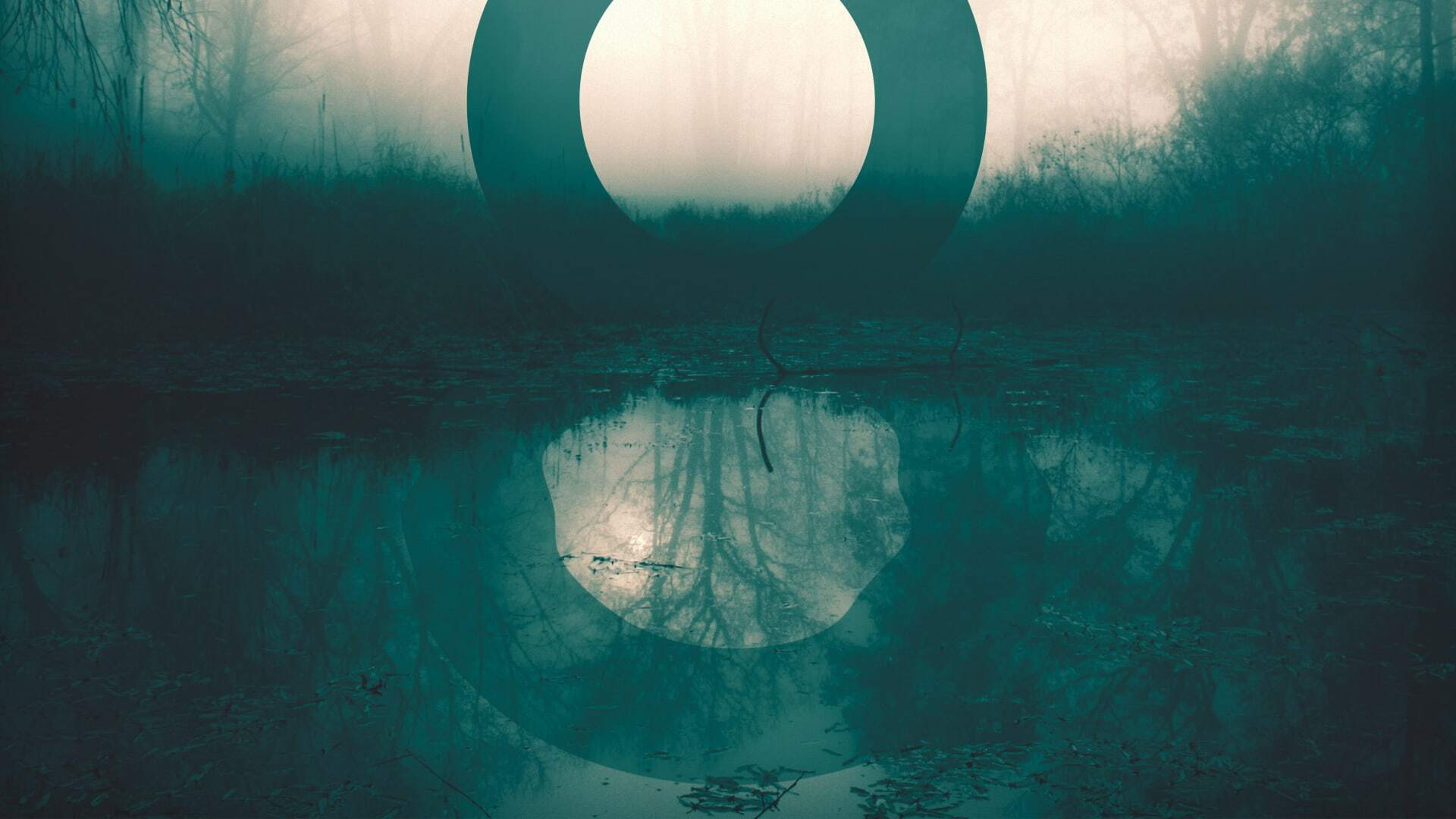 Backdrop for Death in the Bayou: The Jennings 8