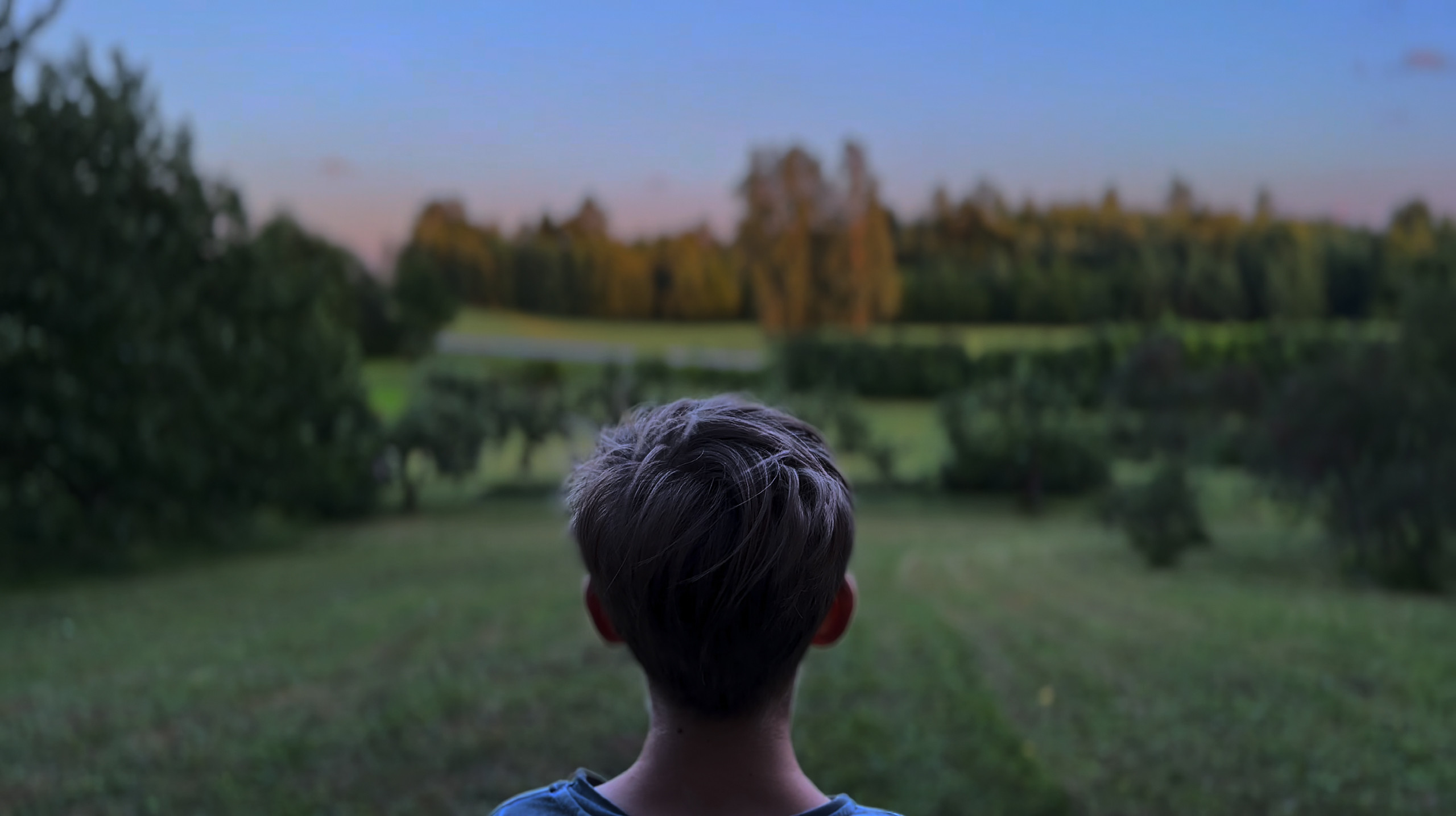 Backdrop for Remorseless Bliss