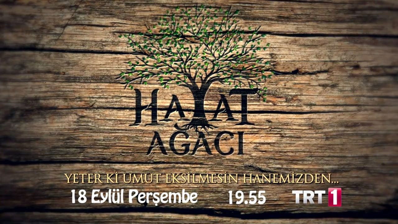 Backdrop for Hayat Ağacı