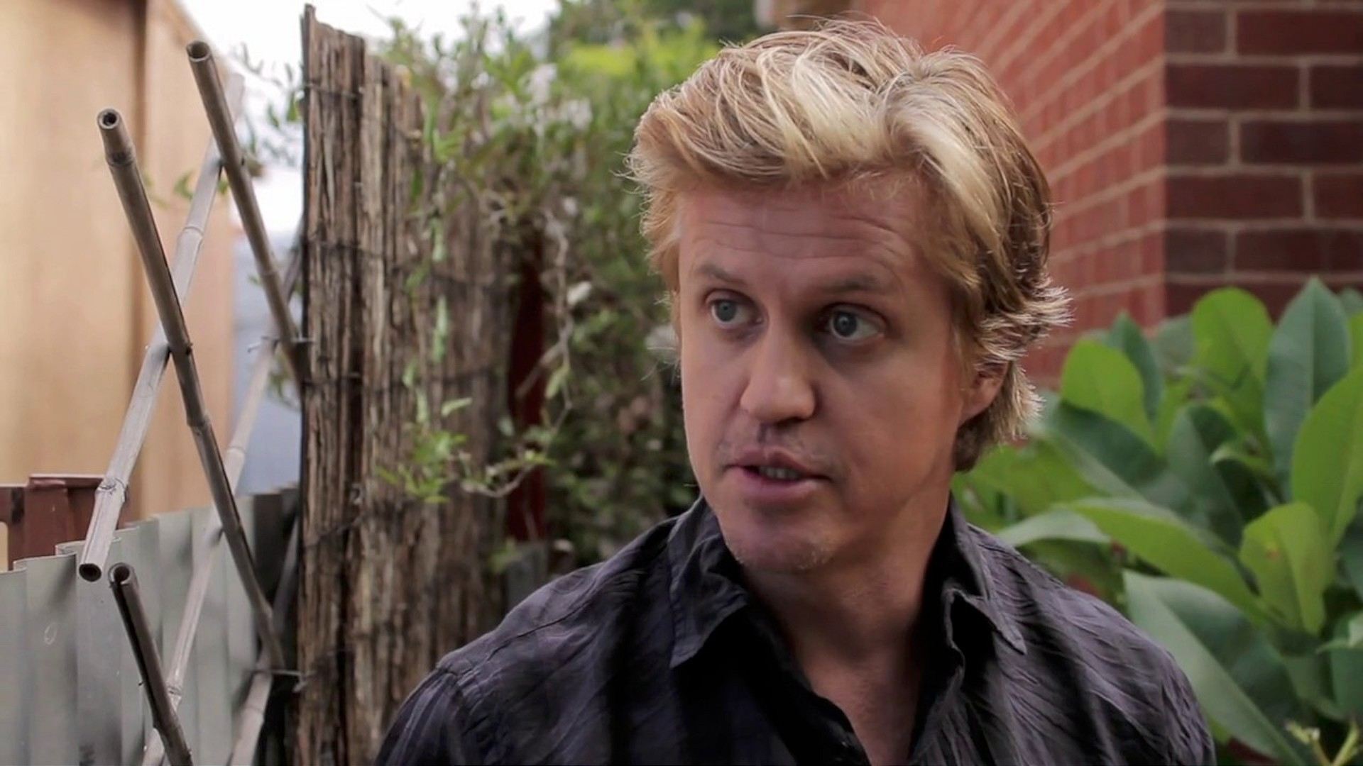 Backdrop for The King Is Dead!