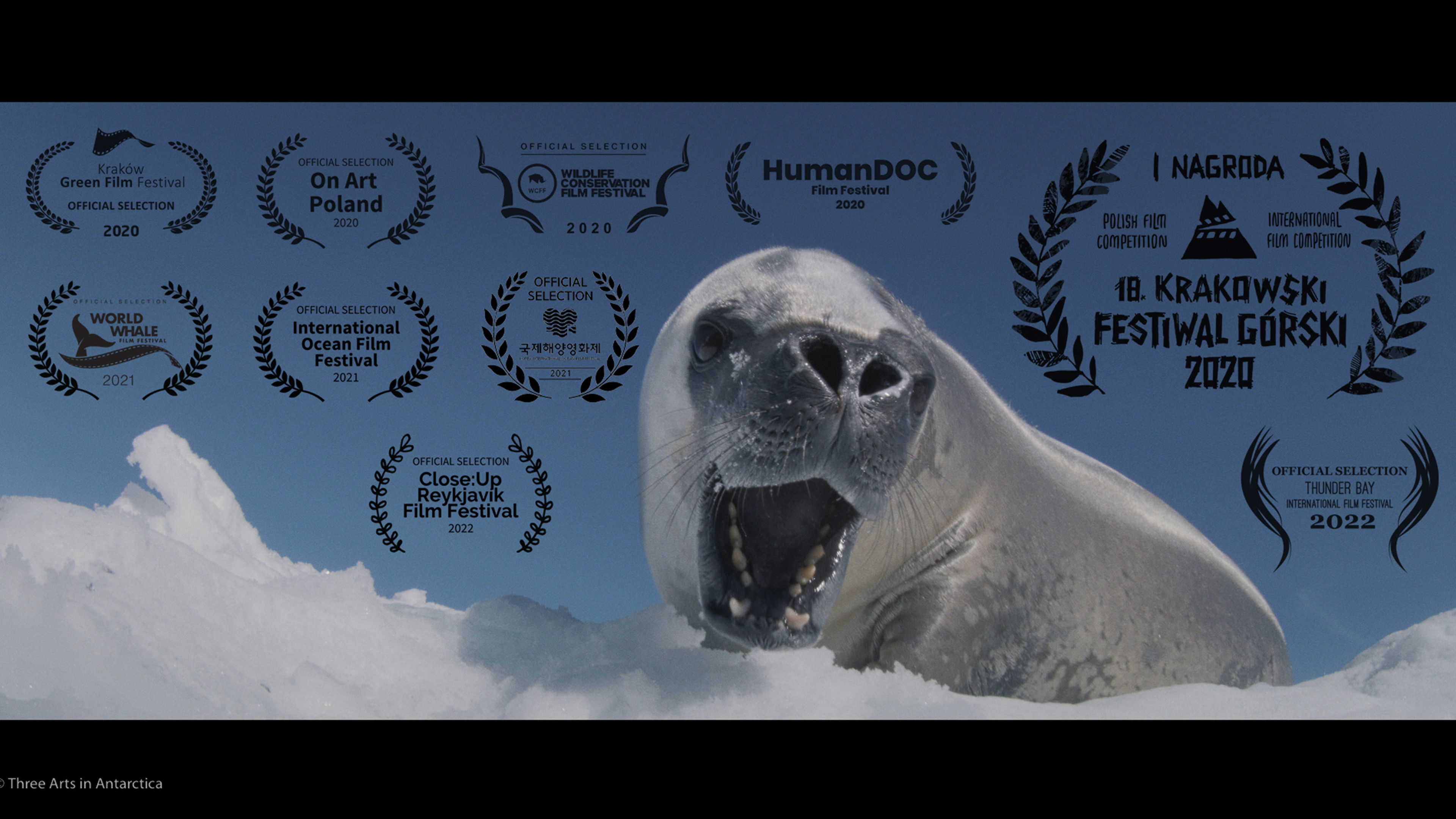 Backdrop for Trzy Sztuki w Antarktyce