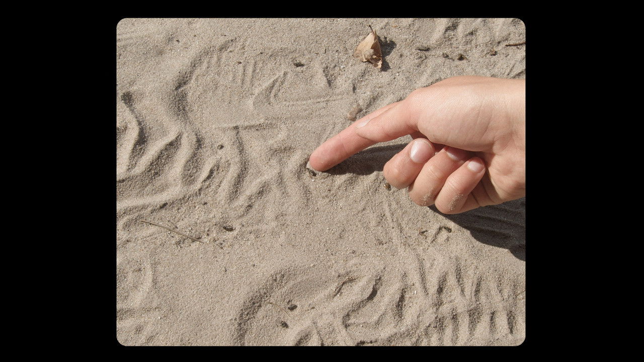 Backdrop for Over het Wildrooster