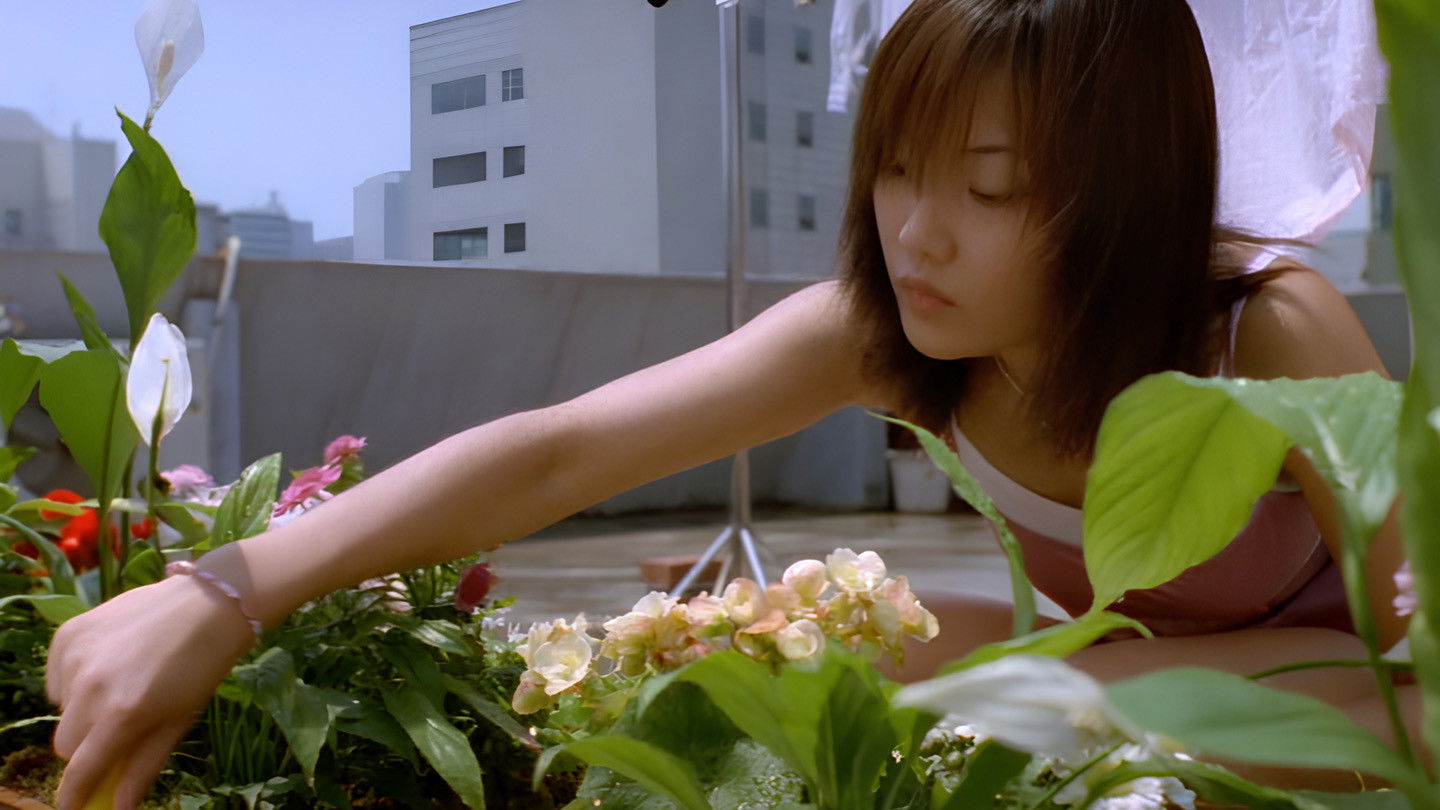 Backdrop for Paradise Villa