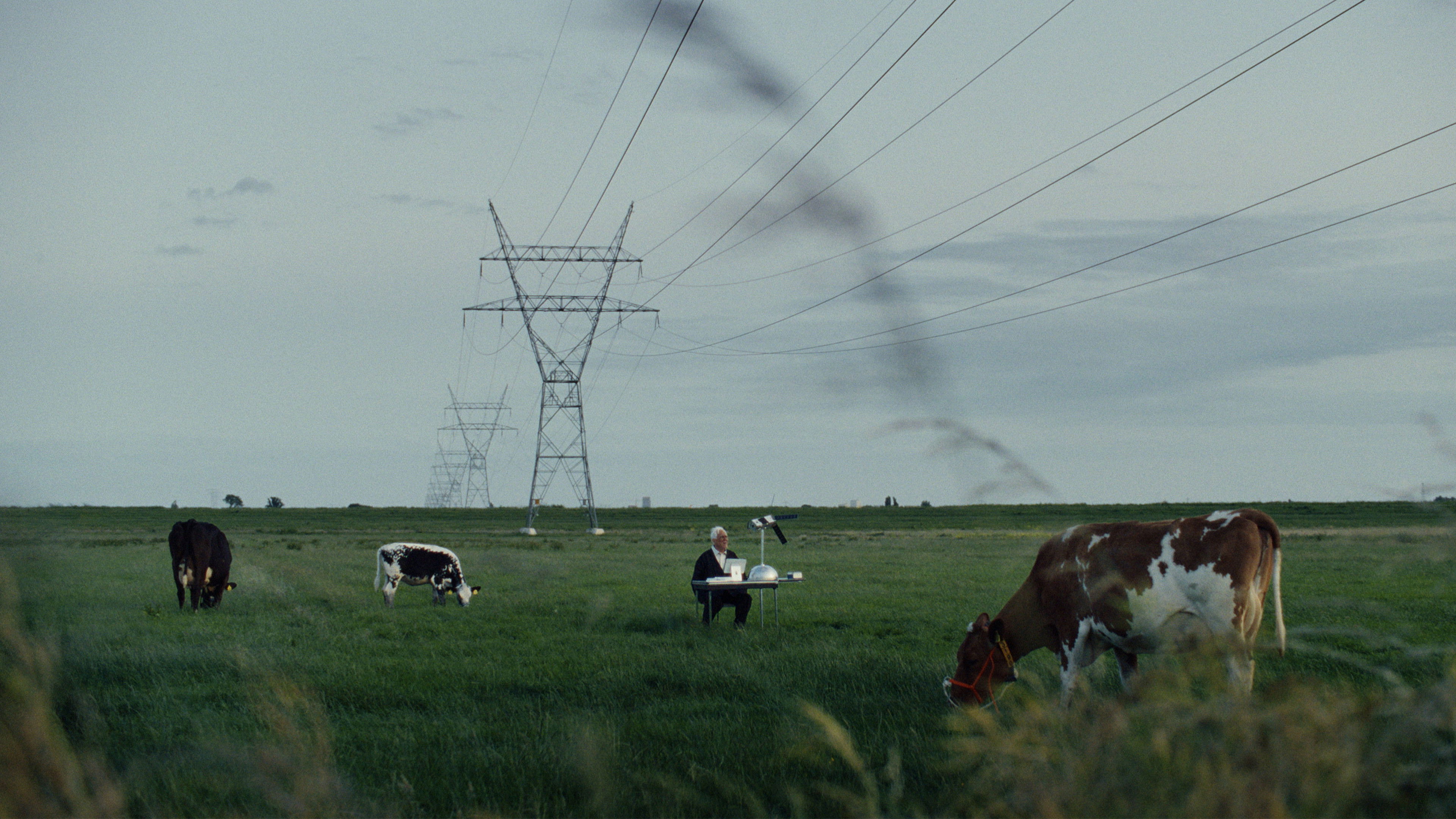 Backdrop for We Were Here Once