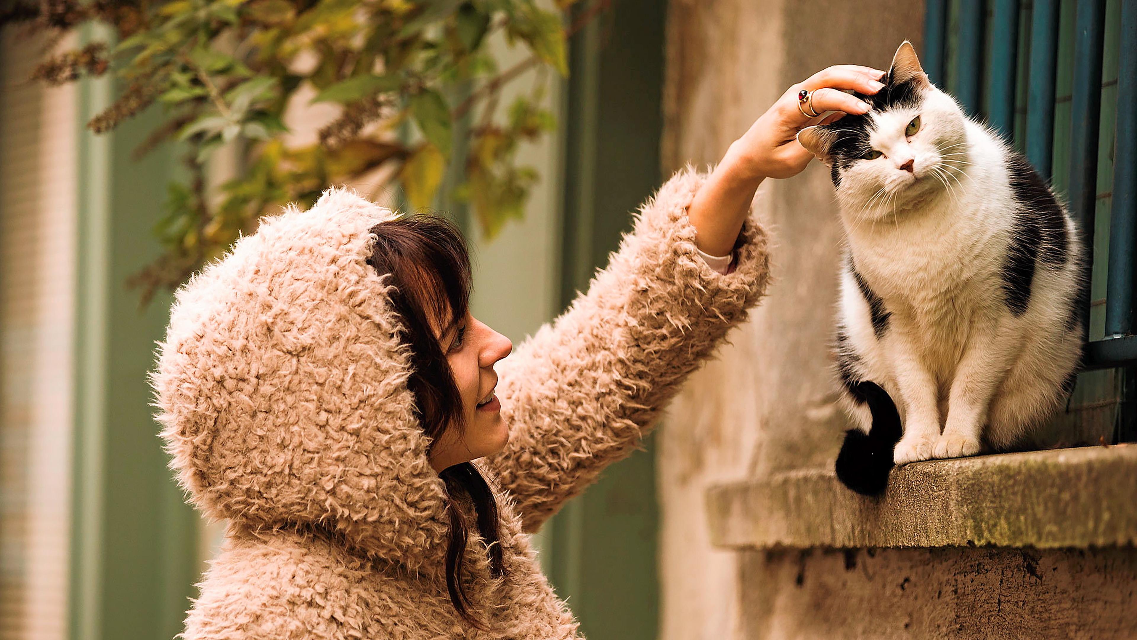 Backdrop for Emma Peeters