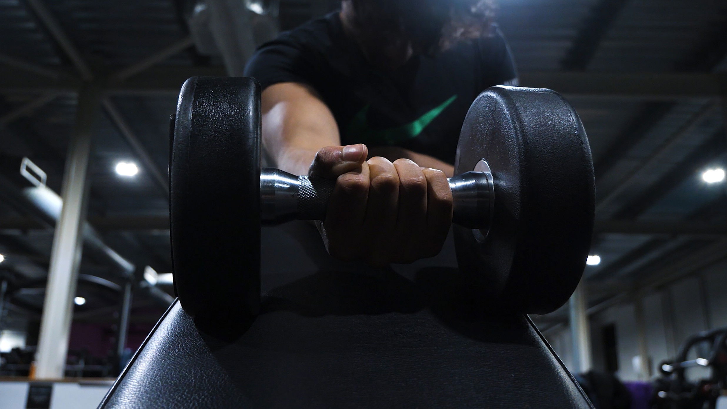 Backdrop for The Anthology of the Night