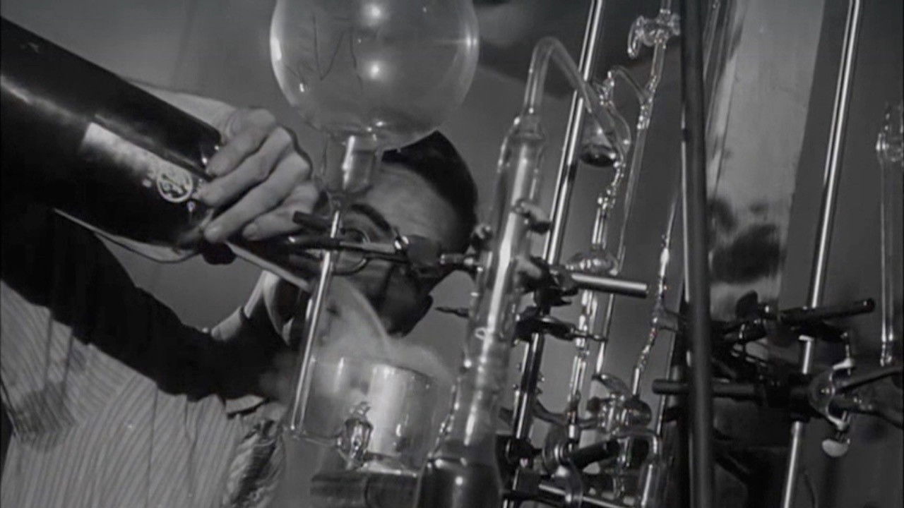 Backdrop for Fortune Seekers