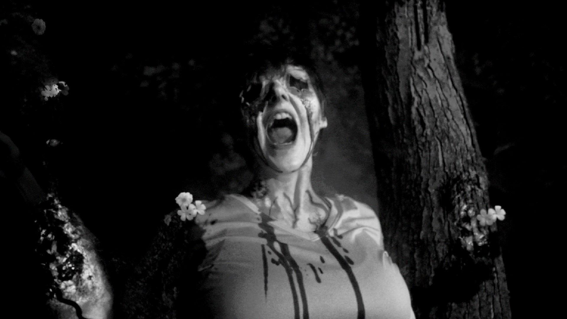 Backdrop for Greywood's Plot