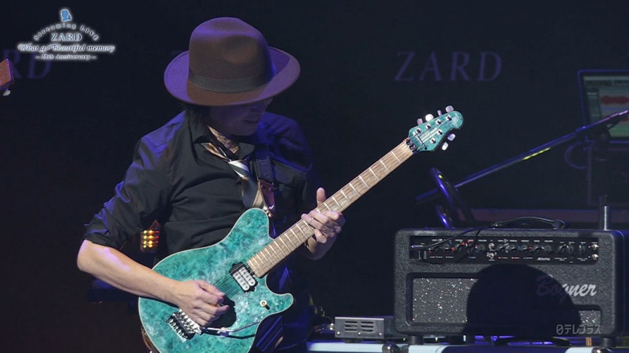 Backdrop for What a beautiful memory ~30th anniversary