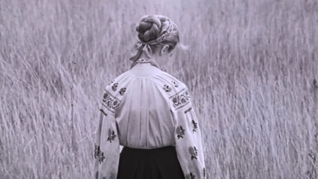 Backdrop for I'm Coming to You...