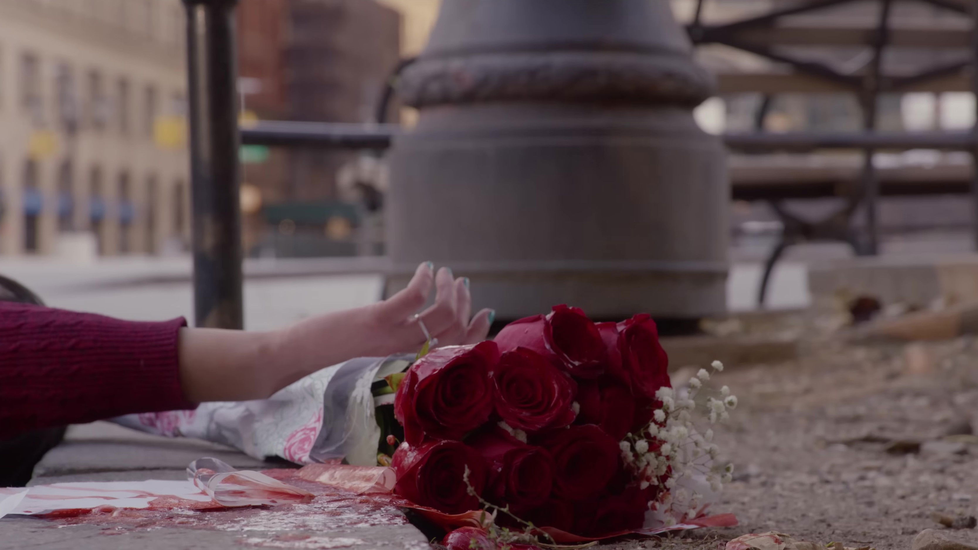 Backdrop for Flowers