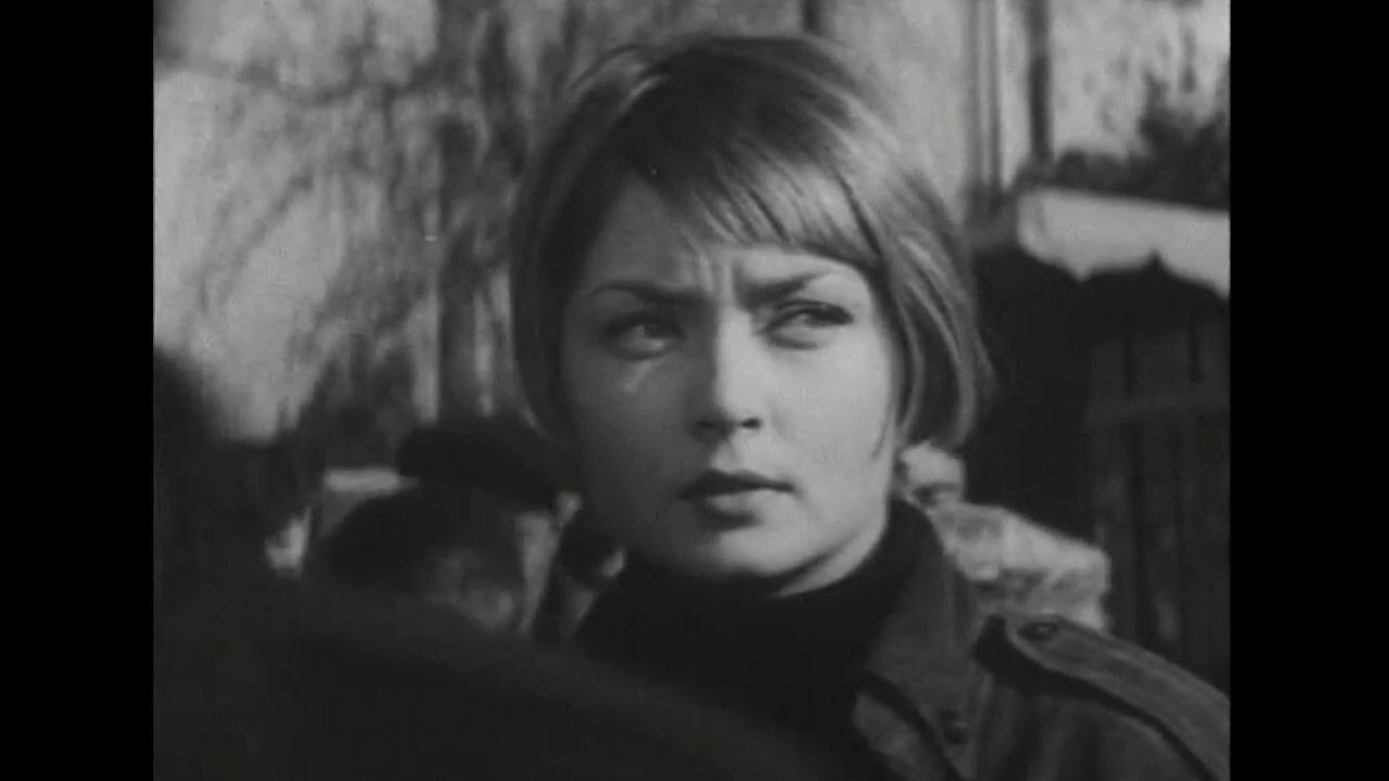 Backdrop for 24-25 Doesn't Come Back