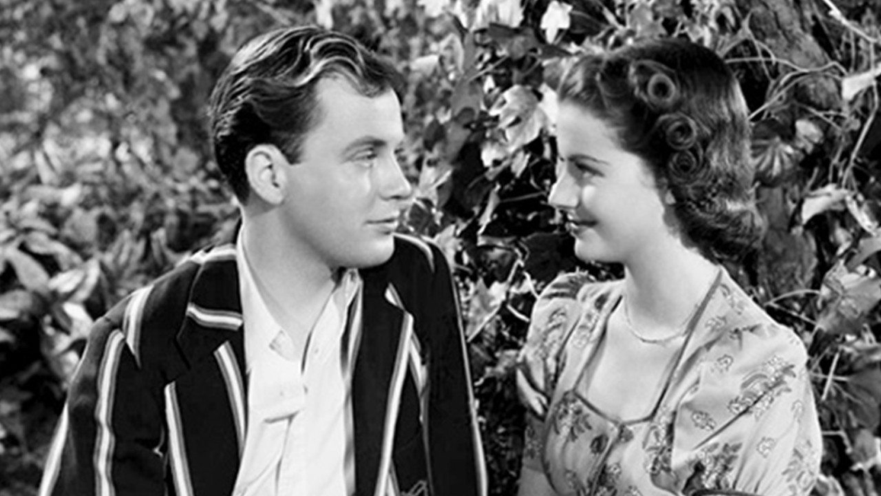 Backdrop for Quiet Wedding