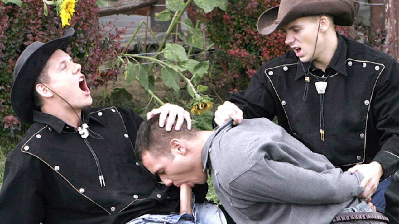 Backdrop for Stars of Diamond Pictures: Derek Lyon