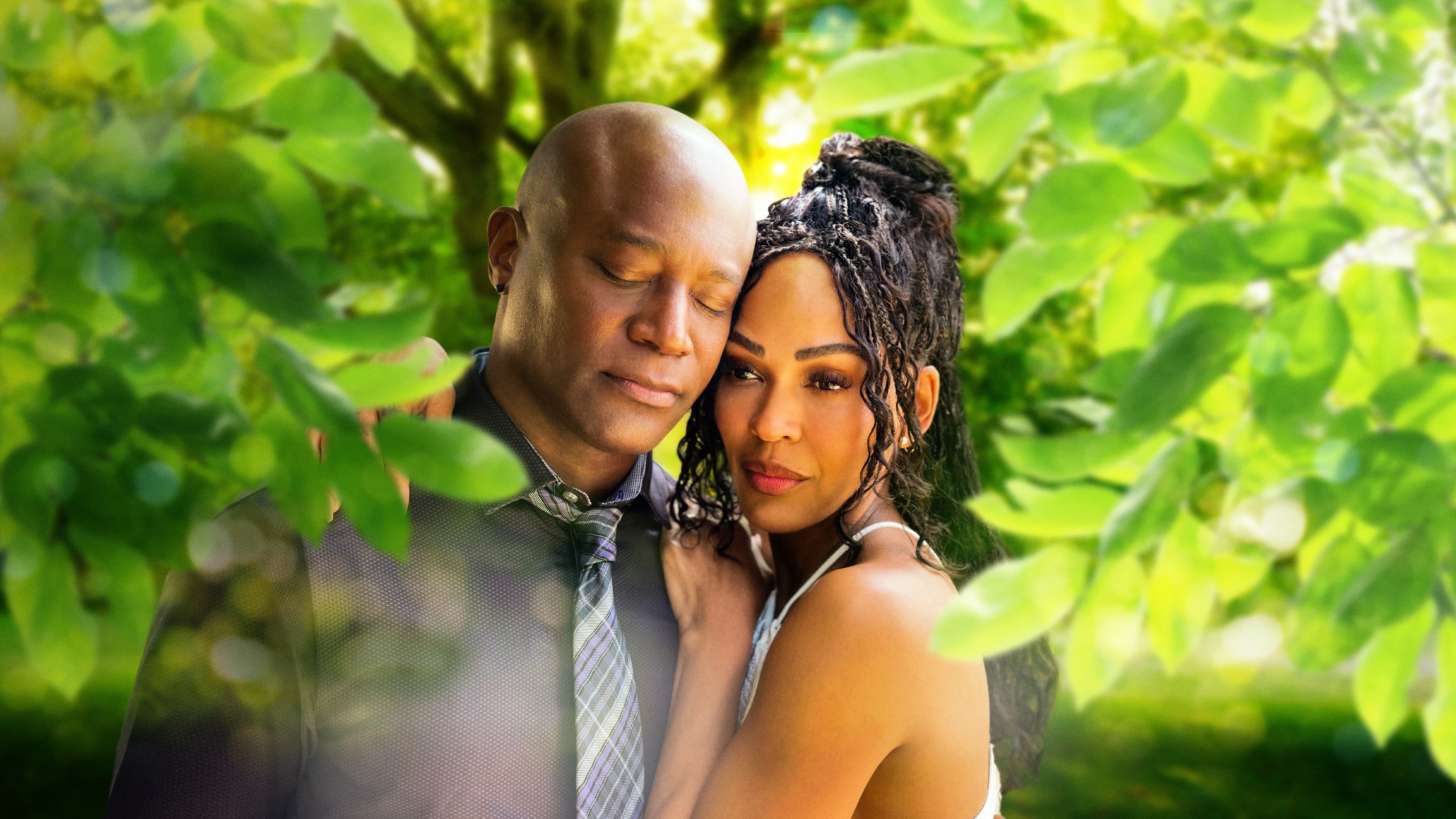 Backdrop for Forever