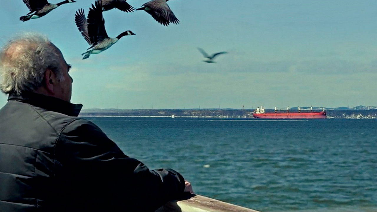 Backdrop for La seconda patria - Another Homeland