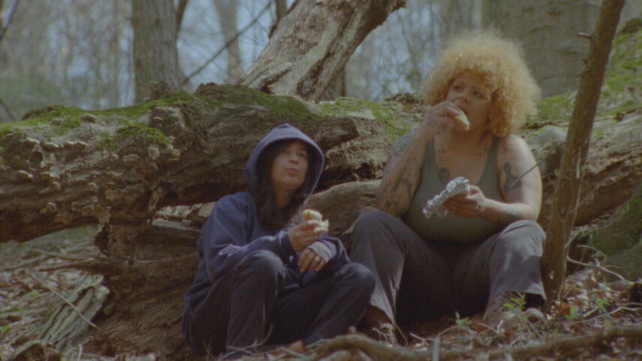 Backdrop for More Beautiful Perversions