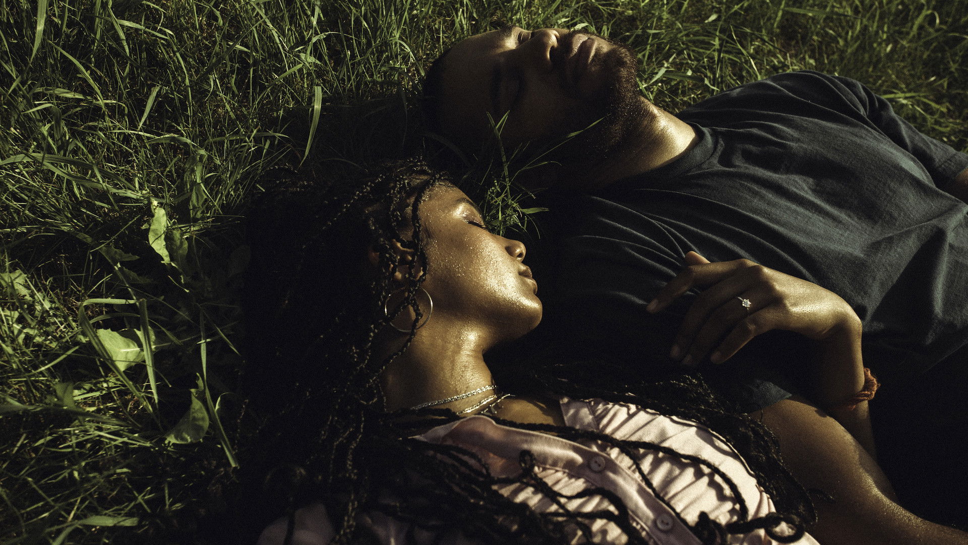 Backdrop for Dogs Day