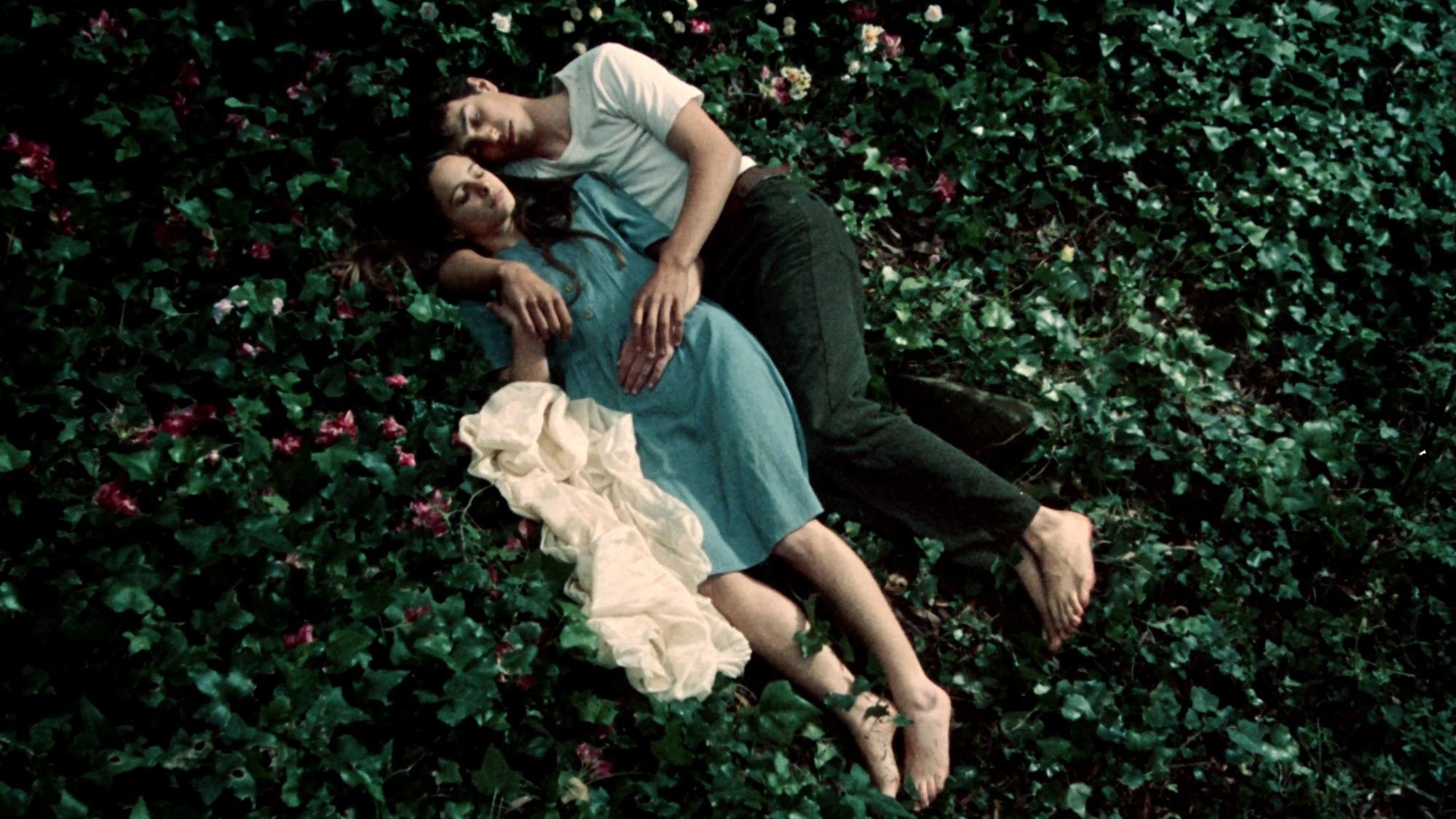 Backdrop for Fragile as the World