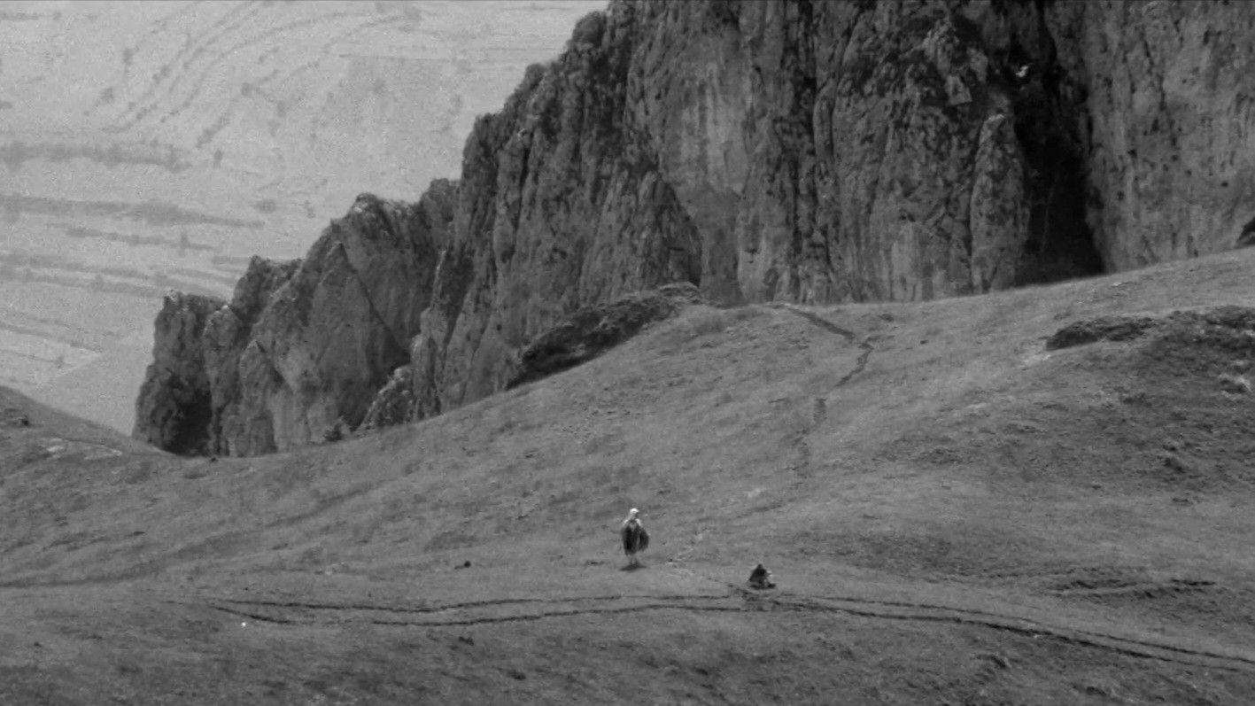 Backdrop for Judgement