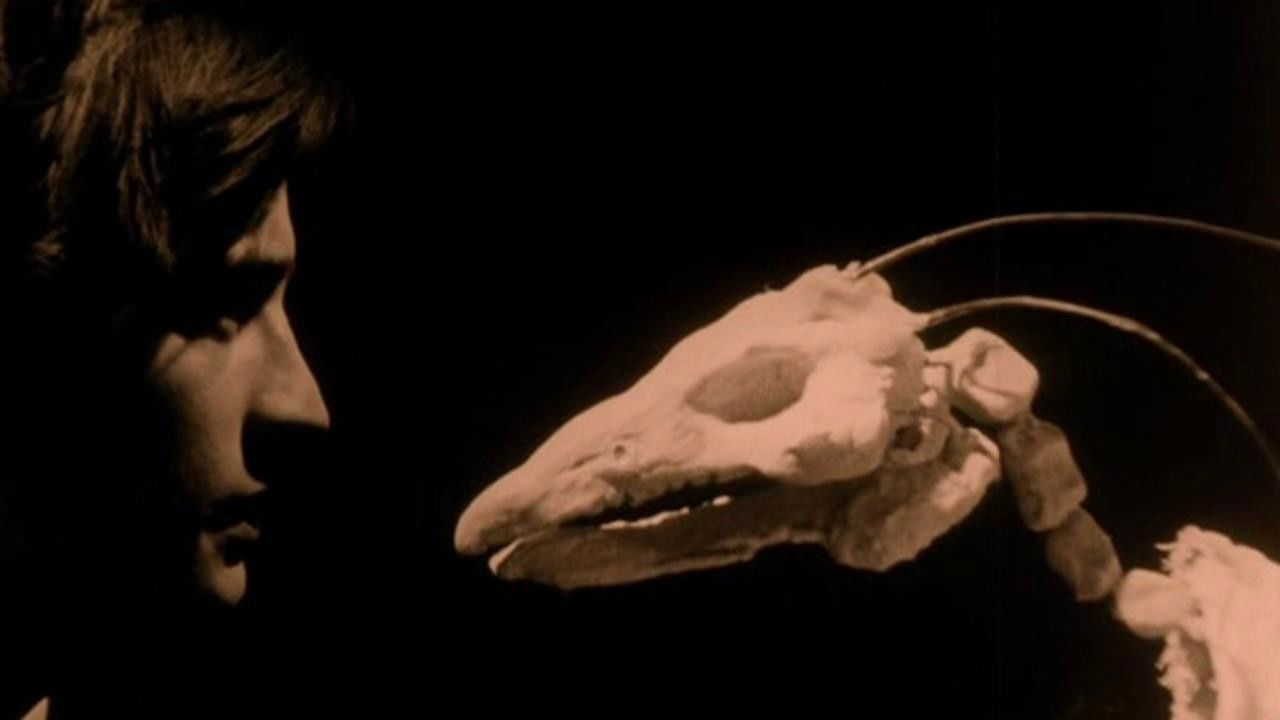 Backdrop for Mécanix