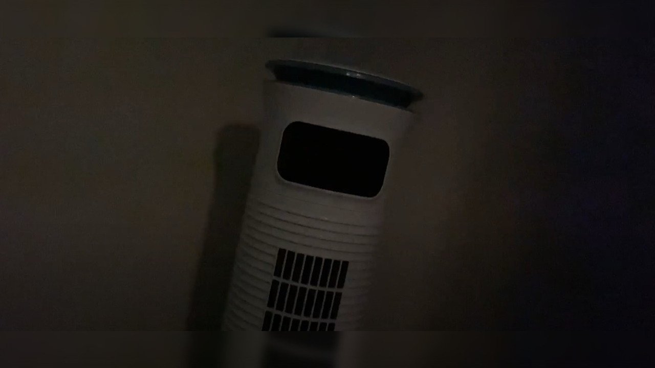 Backdrop for Ew, No.